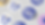 mockup_adesivo_gatto_e_cane.png