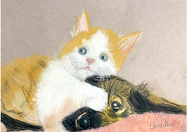 Shadlin's-Dog-and-Cat.png