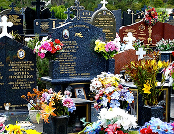 Screen Shot 2024-01-31 at 2.55.27 pm.png