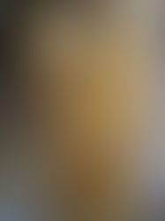 Focusing on the FRINGE