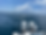 317CA442-C0E3-4D74-B020-9BBAC33B9A81.heic