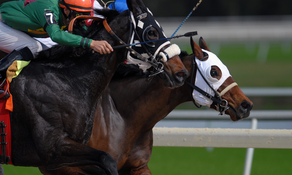 Horse Racing