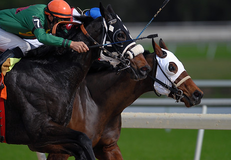 Horse Racing