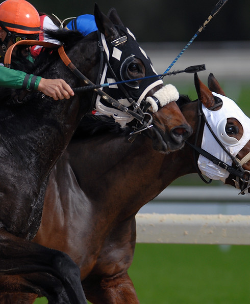 Horse Racing