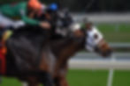 Horse Racing