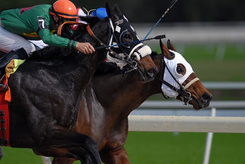 Horse Racing