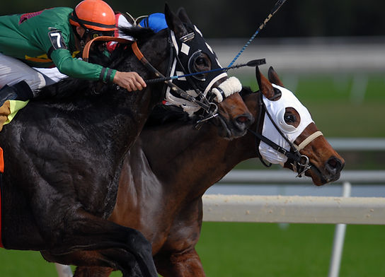 Horse Racing