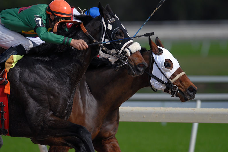 Horse Racers Closeup
