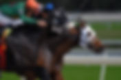 Supreme Court Denies Review Of First Circuit Jockeys’ Case