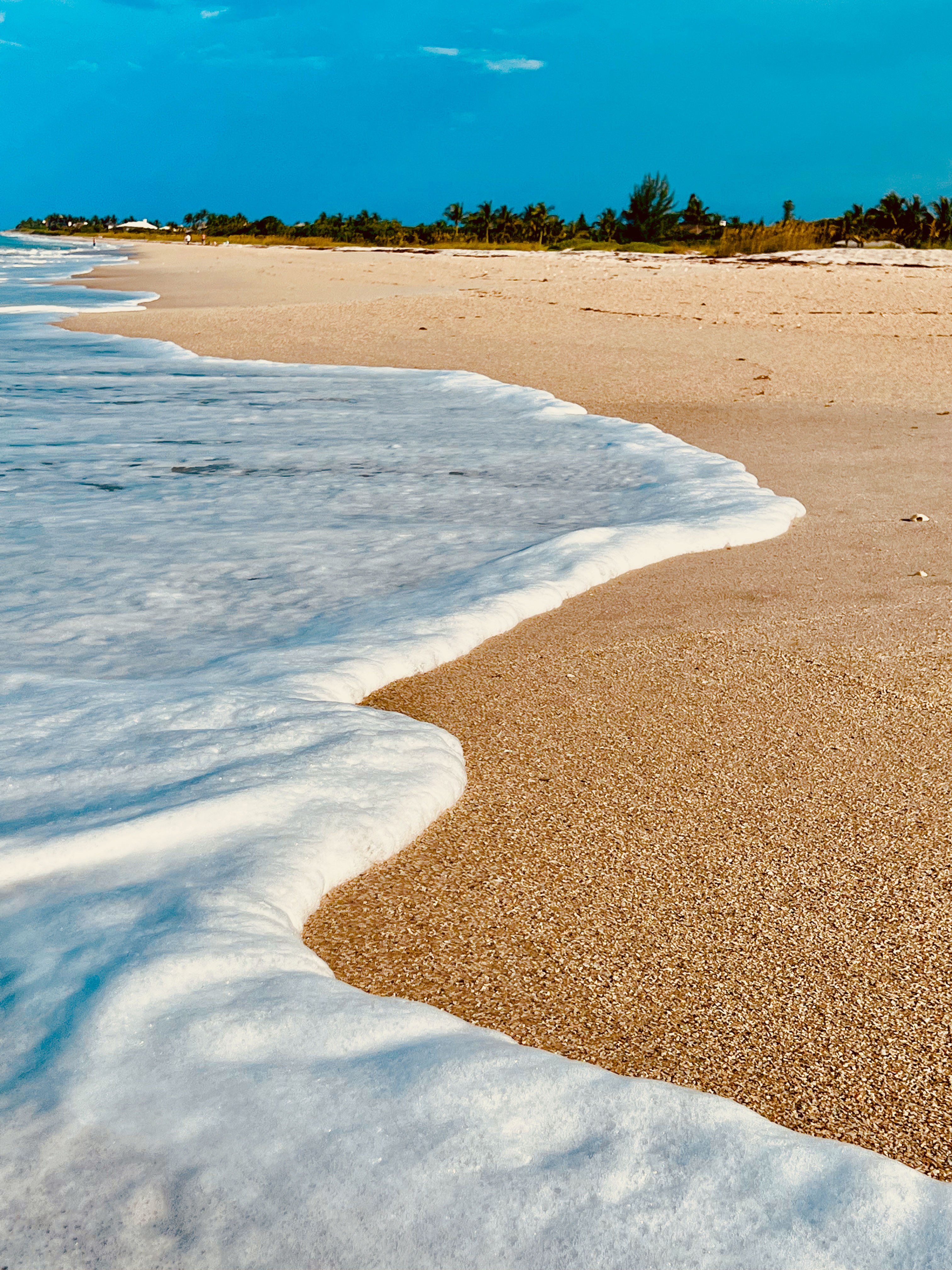 Ocean, Beach, Color, Photography