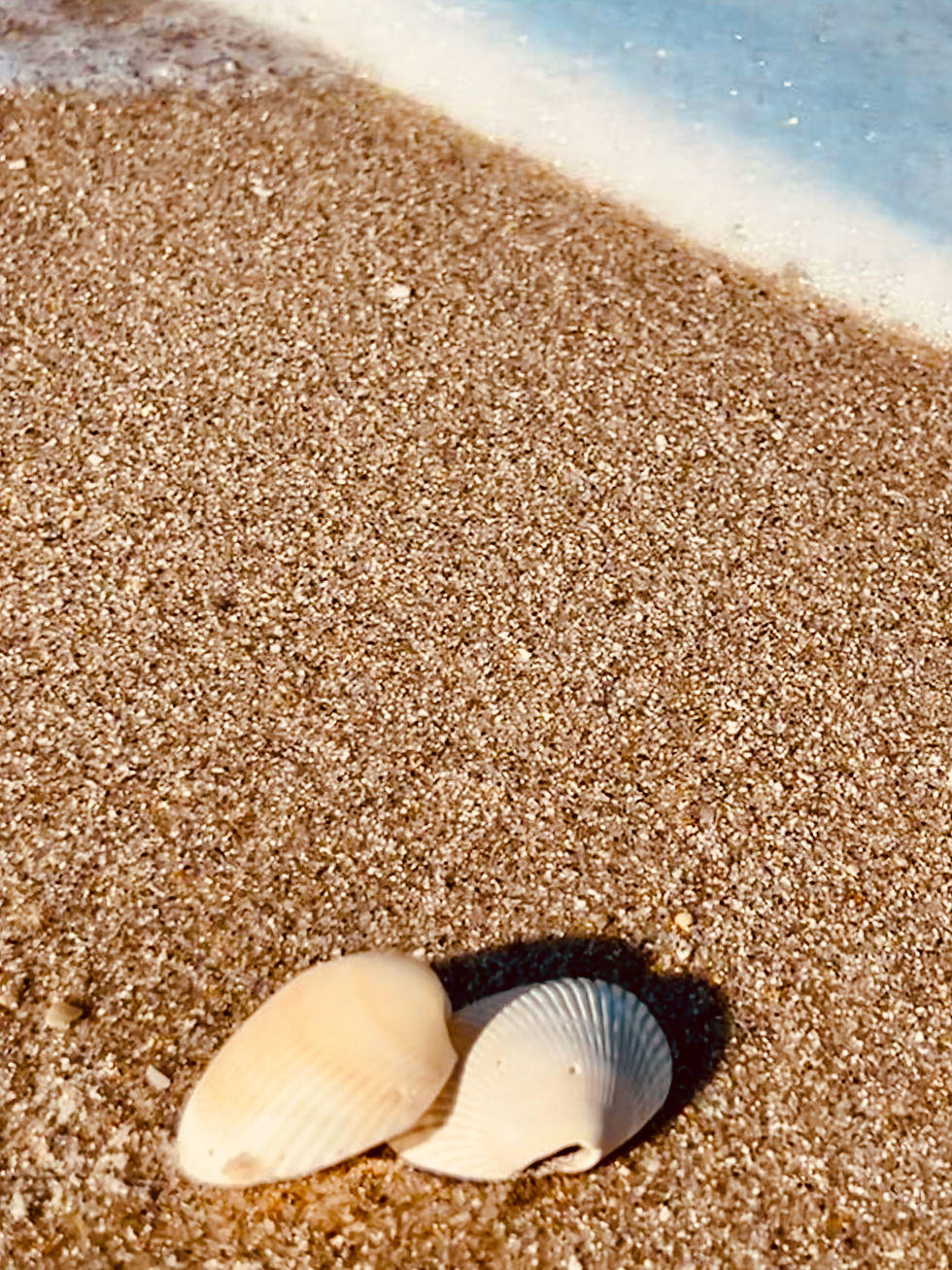 Ocean, Beach, Macro, Color, Photography