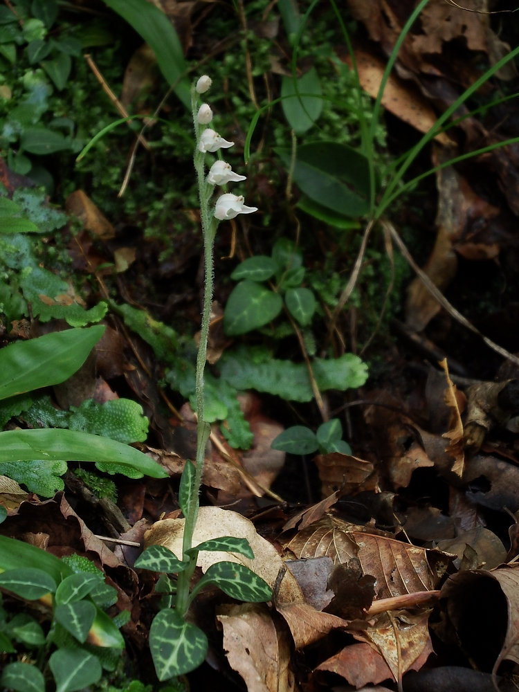 ccd02e_795697f34a9a4f7f8447d61