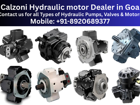 Calzoni Hydraulic motor Dealer and Supplier in Goa