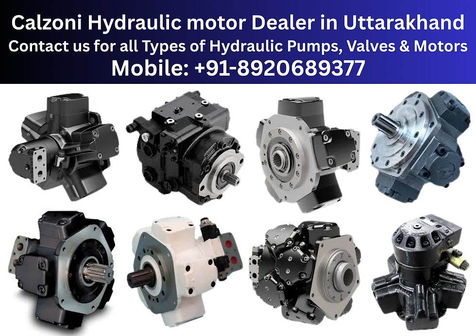 Calzoni Hydraulic motor Dealer and Supplier in Uttarakhand