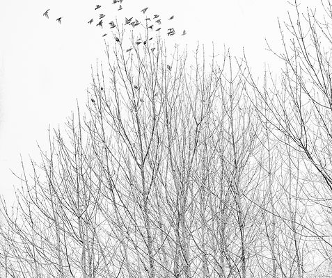 DSCF6098-2.jpg