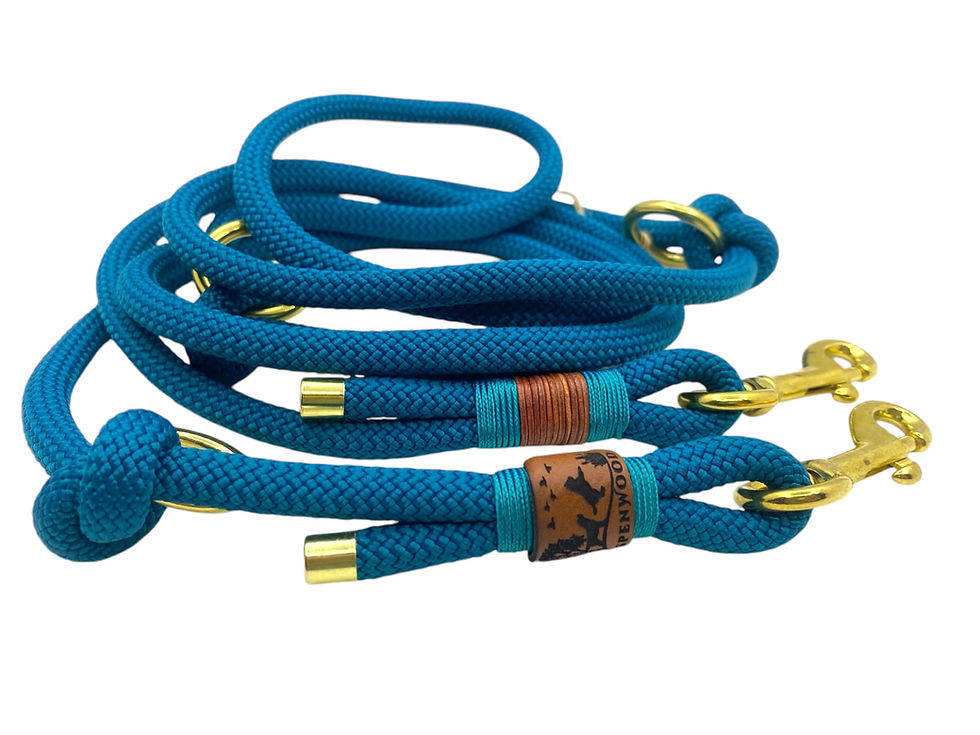 Miniaturbild: Türkisblaues Seil Hundeleine, goldene Elemente, MINI Tauleine 8mm, Aspenwood - Handmade.