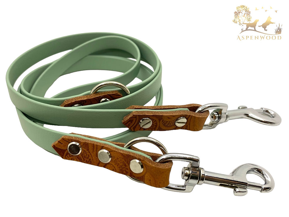 Grünes Hundegeschirr aus Leder mit braunen Akzenten und Y-Geschirr, Aspenwood - Handmade