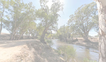 Bendigo landscape_edited.jpg