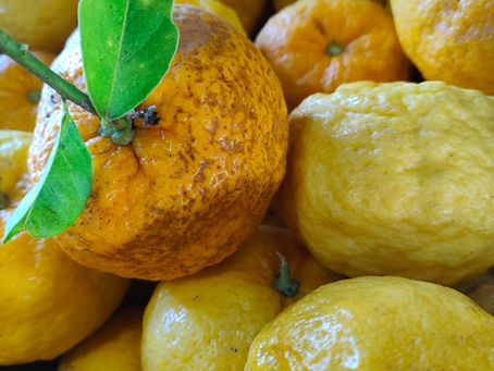 Pompia Power: il frutto sardo che spacca (davvero!)!
