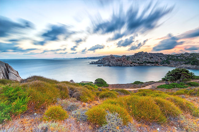 mare di sardegna con roccia, erbe e piante e cielo con nuvole