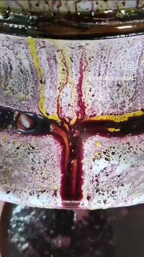 Thumbnail: produzione olio lentisco a freddo