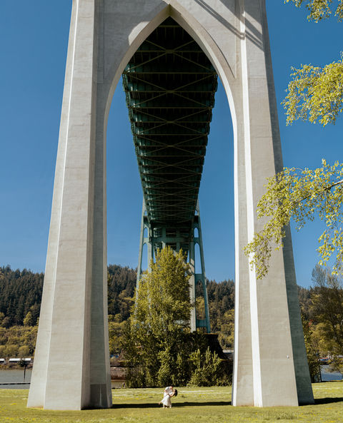 Stone bridge structure from below with tree and blue sky background