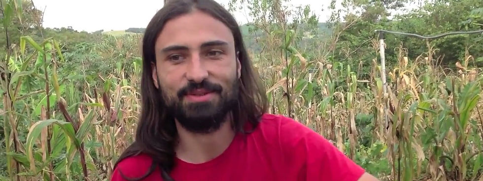 Agricultura urbana como ferramenta de transformação da realidade