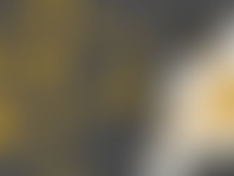 1º Seminário Metropolitano do Macrozoneamento – Tendências da RMBH