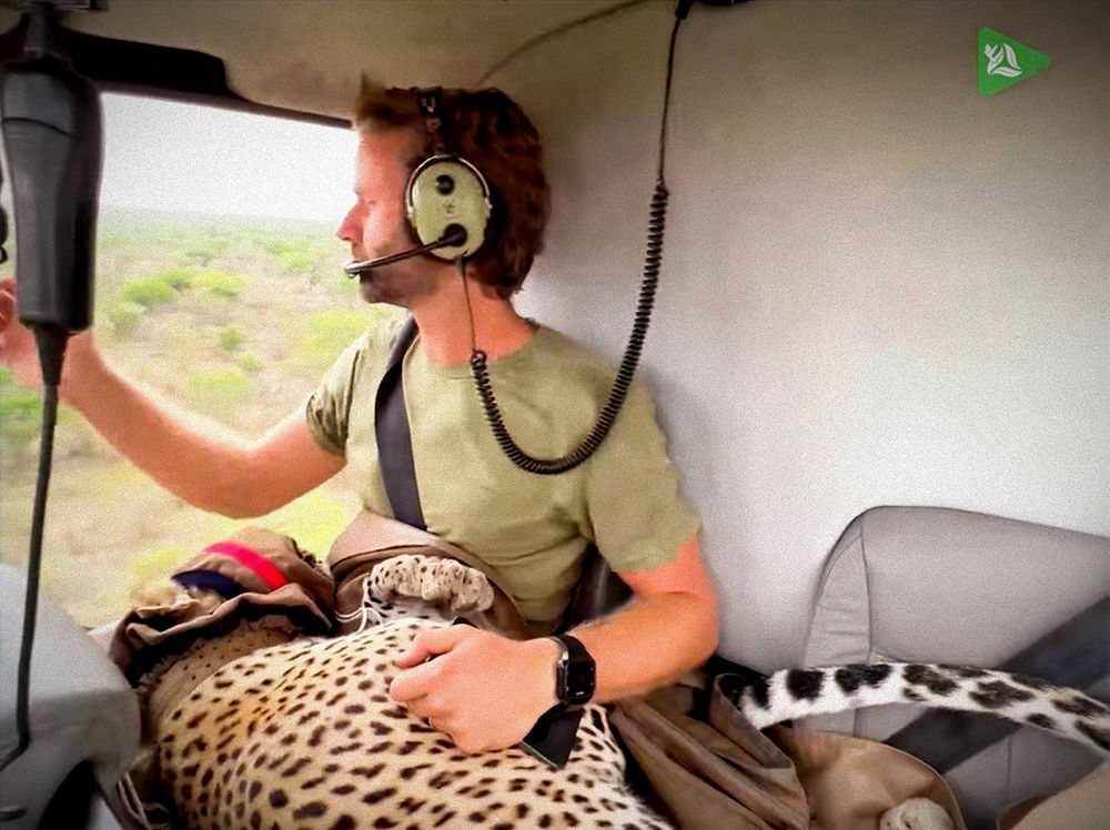 World's most dangerous animal on Vet's lap