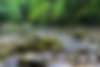 BG - mountain.png