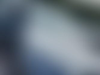 A day in the life of a Plater