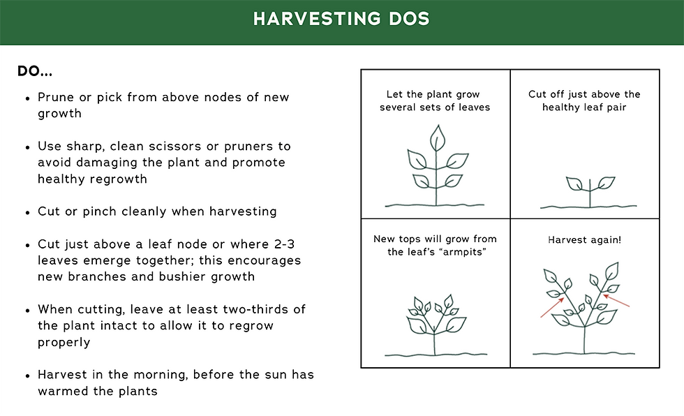 A page from Chowgirls' Garden Foundations training, which is a helpful resource for our chefs.