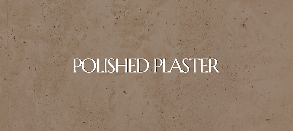 POLISHED PLASTER_ (1).jpg