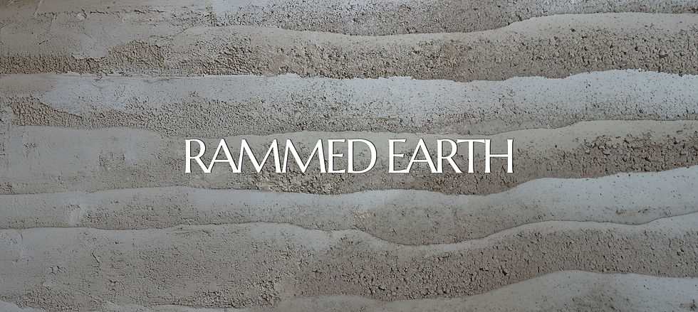 RAMEED EARTH (1).jpg
