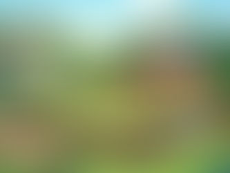 A VisionMaker Homes illustration showing how to build an ADU in Western Oregon and the Oregon Coast. The graphic features a detached Aurora ADU (DADU) in a backyard with a 400-amp electrical upgrade and underground utility connections, highlighting the potential of Oregon middle housing for families.