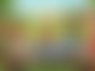 How to Interview Home Builders: 4 Essential Steps to Building on Your Oregon Land