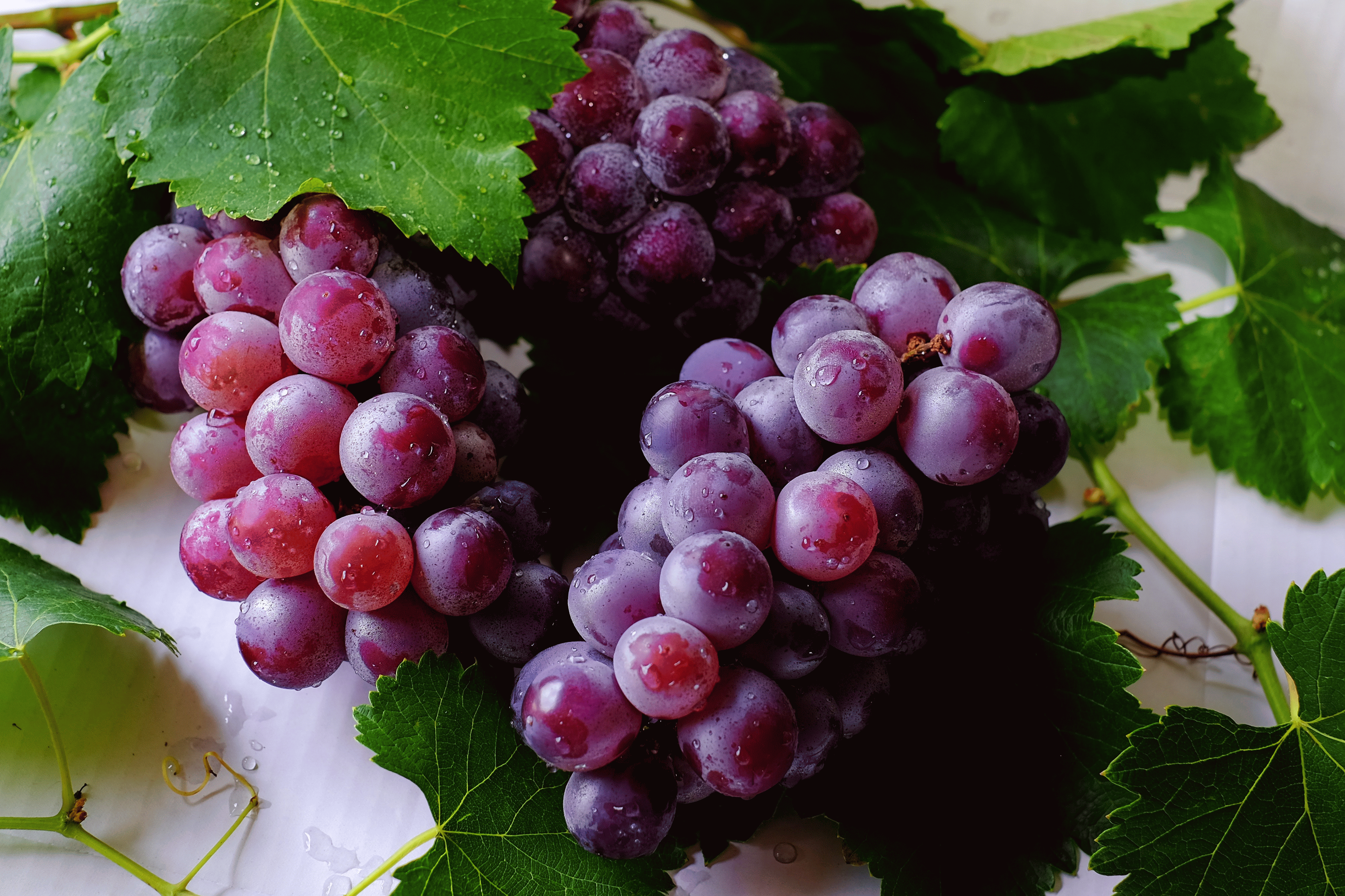 bunch-cluster-delicious-708777 (2)