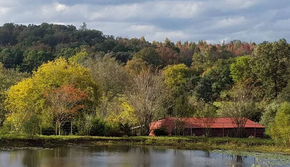 Home Kaleidoscope Ranch