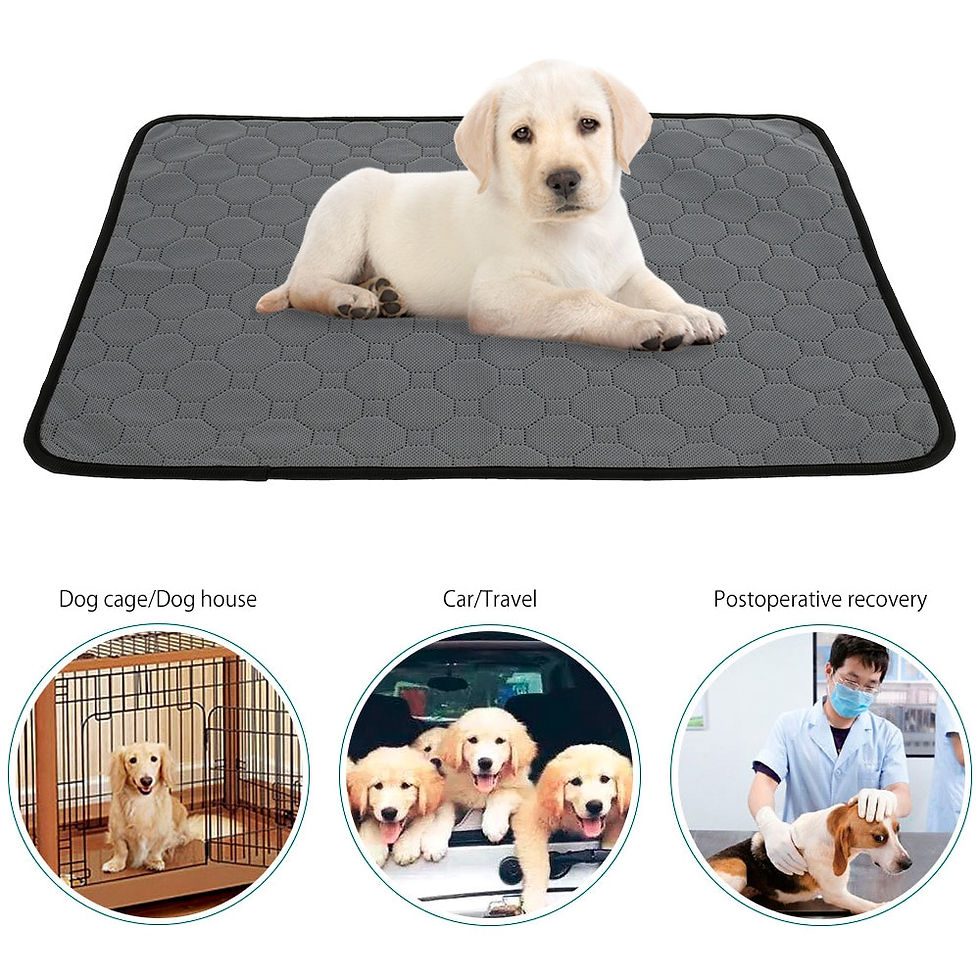 Thumbnail: Washable Puppy Pee Pad & Cooling Blanket For Potty Training!