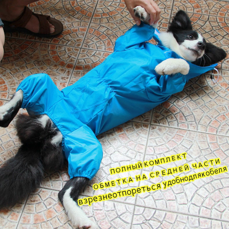 Thumbnail: Large Waterproof Raincoat w/ Hood For Small & Large Dogs.