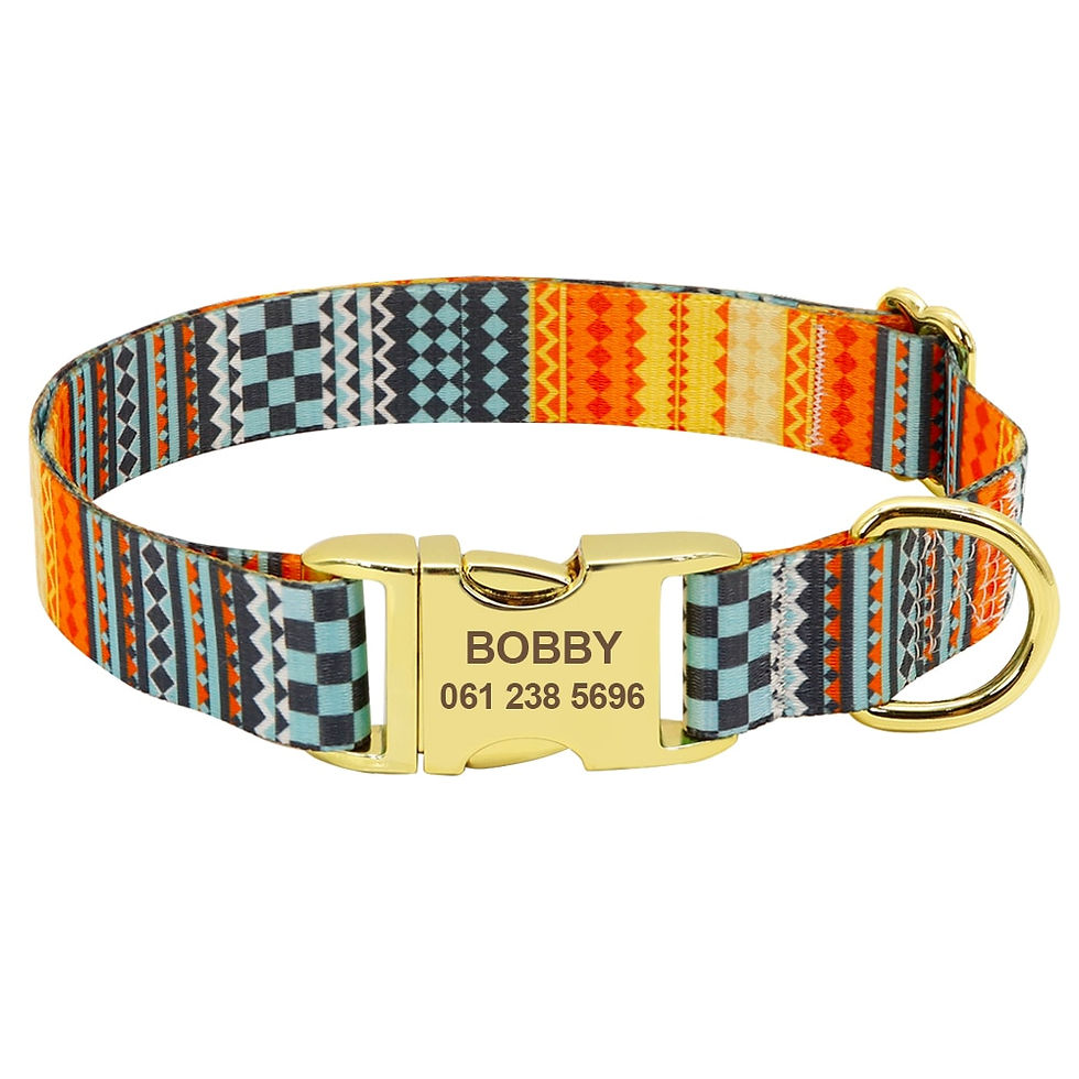 Thumbnail: Color Print Nylon Dog Collar With Nameplate.