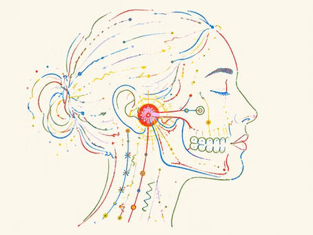The Joint That Runs Everything: What Your Jaw Is Telling You About Your Health