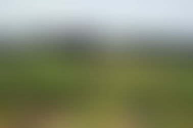 欣赏澳大利亚巴罗萨产区