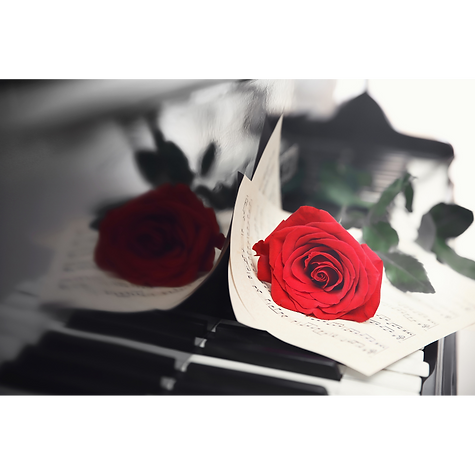 Untitled (800 x 800 px) (3).png