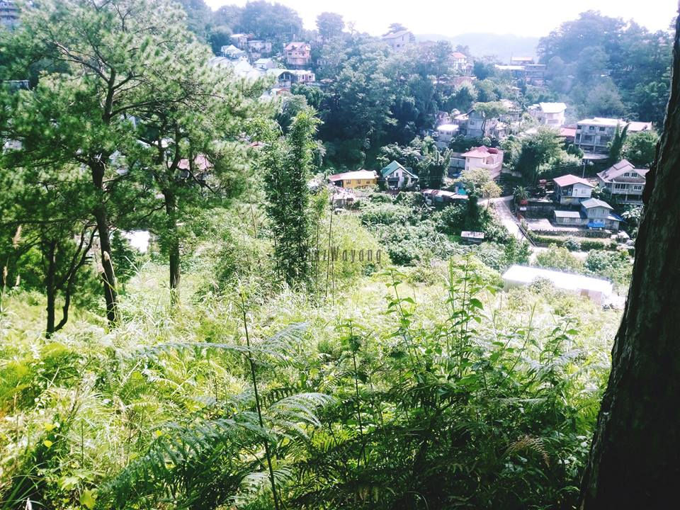 Thumbnail: Adiwang, Green Valley, Baguio City
