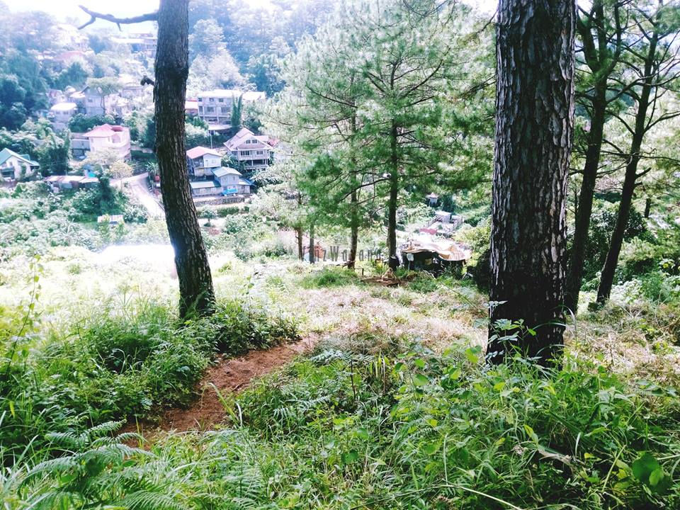 Thumbnail: Adiwang, Green Valley, Baguio City