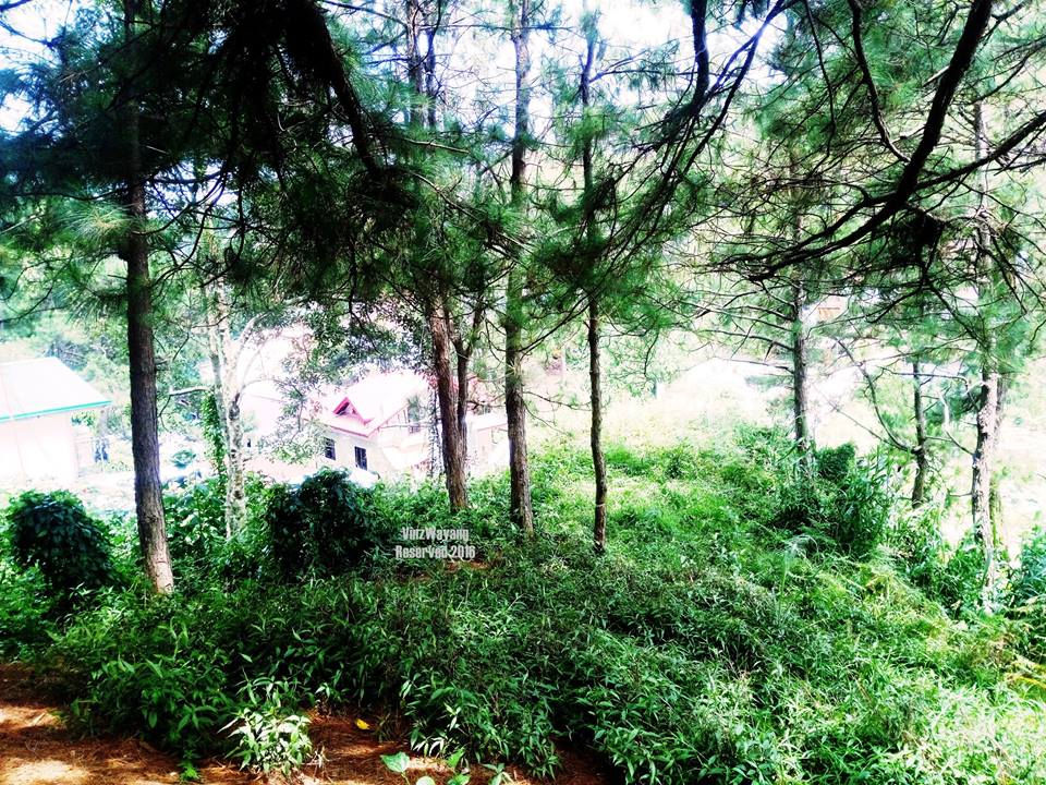 Thumbnail: Amparo Heights, Camp7-Bakakeng Norte, Baguio City