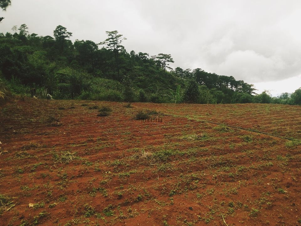 Thumbnail: Santa Lucia Golf Course, suello village, Baguio City