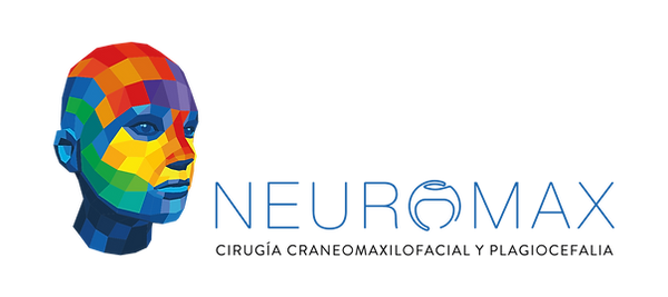 logotipo neuromax transparente.png