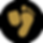 DIABET FOOT.png